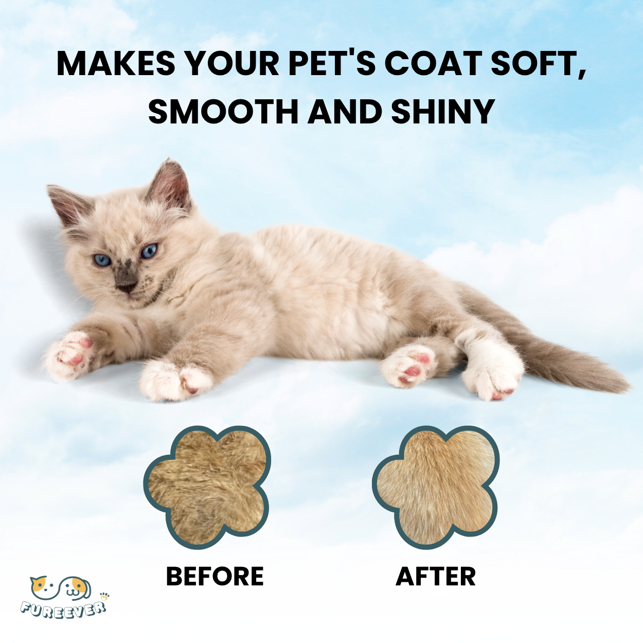 Dog Steam Brush – Luxury Steam Spray Grooming Brush for Dogs & Cats