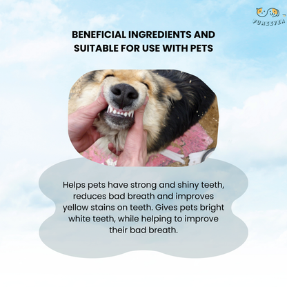 Pet Dental Pen – Dog & Cat Toothbrush Pen for Fresh Breath, Whitening & Tartar Removal