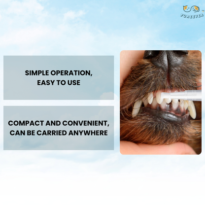 Pet Dental Pen – Dog & Cat Toothbrush Pen for Fresh Breath, Whitening & Tartar Removal