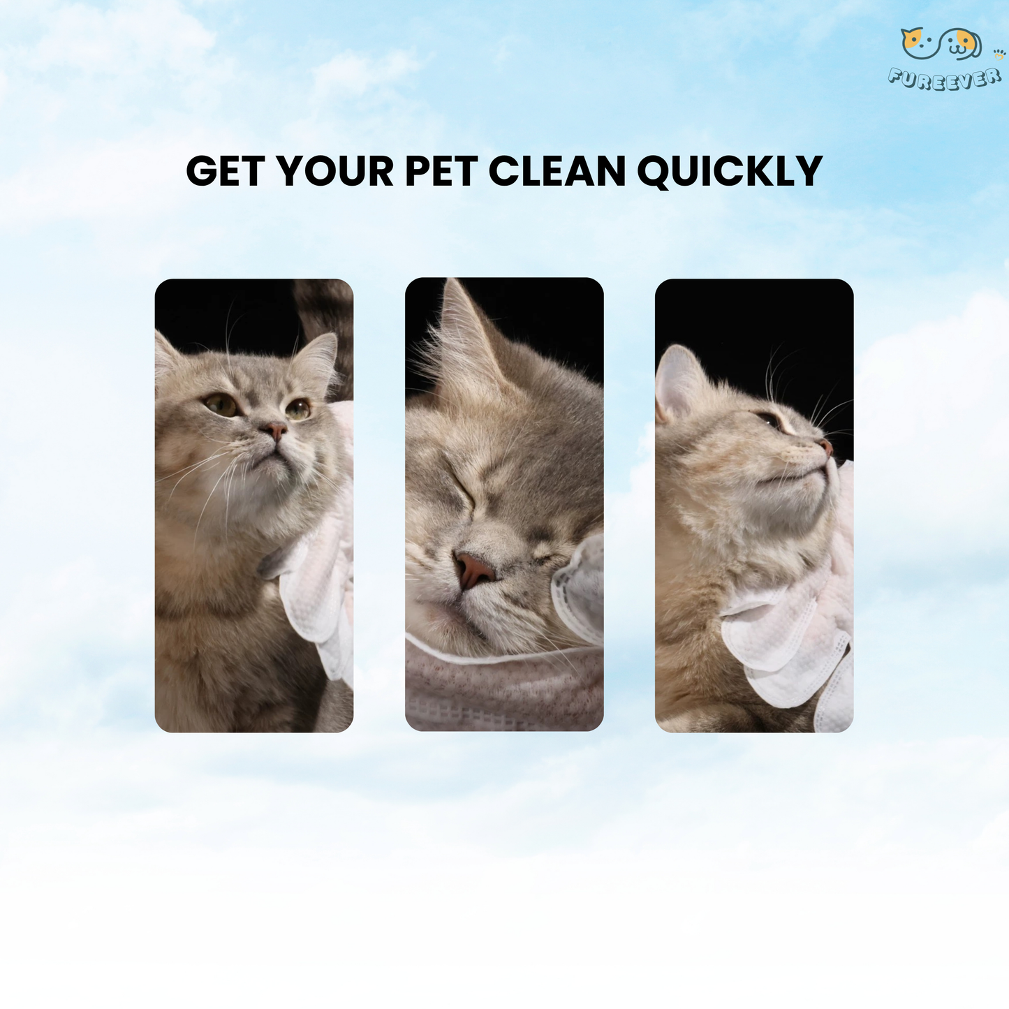 Pet Cleaning Gloves – Wash-Free Bath Wipes for Dogs & Cats
