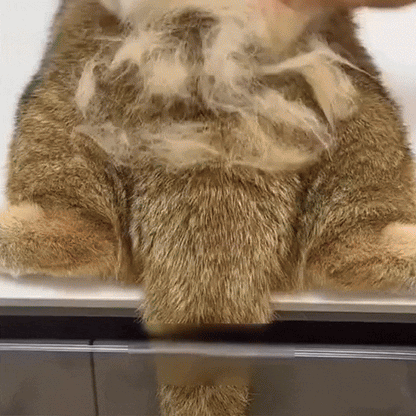 Cat & Dog Massage Bath Brush – Pet Hair Comb for Shedding, Cleaning & Grooming