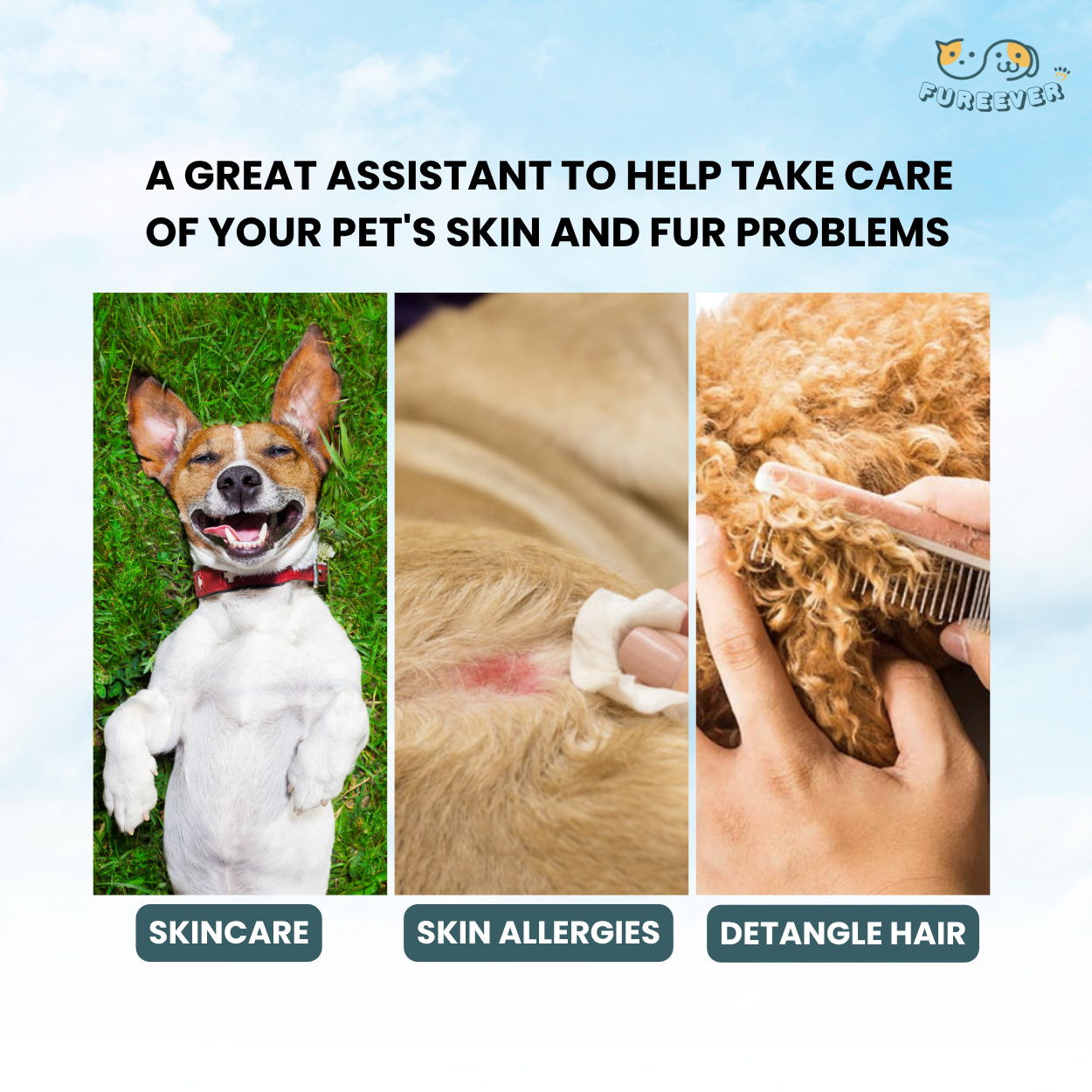 Pet Hair Care Serum – Softening & Growth Essence Oil for Dogs & Cats